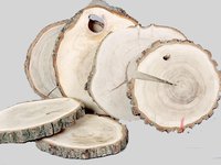Спіл дерев'яний д.23-25см (дуб,граб,клен,береза)_thumbnail